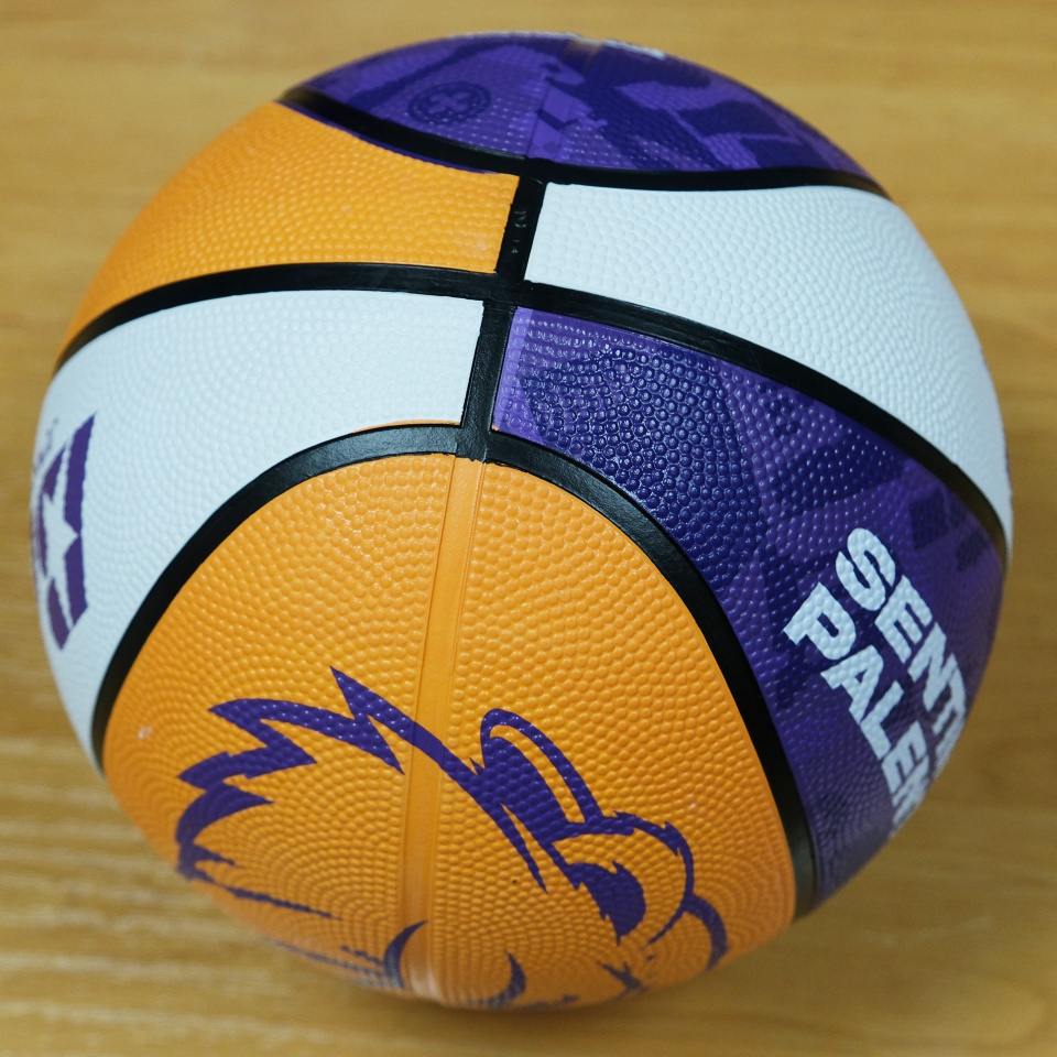 BALÓN OFICIAL TALLA 5